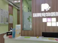 -瑞鹏宠物医院·宠保定点·心脏科·内科(御桥分院)