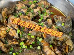-石岐乳鸽村(桥观坊南四巷店)