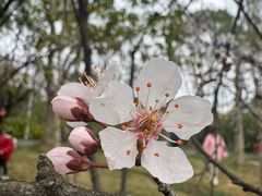 -长广溪湿地公园
