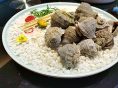 -蒲叙(凯天国际店)
