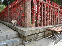 -四门塔风景区