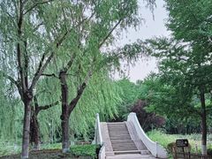 -康庄公园
