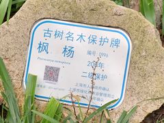 -汇龙潭