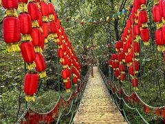 -五营红松林海景区