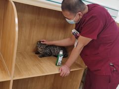 -美联众合动物医院·24h京西诊疗中心