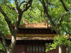 -普陀山风景名胜区-法雨禅寺