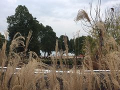 -东钱湖阳光沙滩