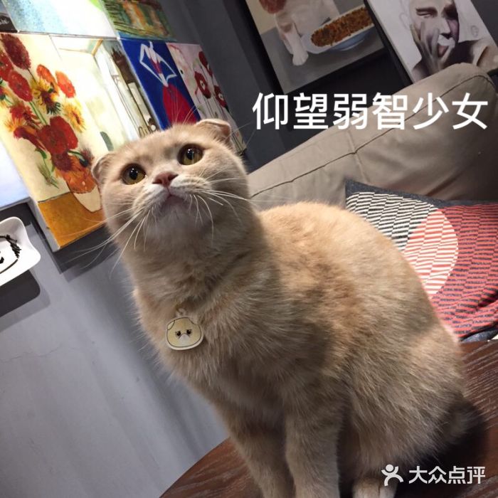 咖法森林·咖啡  酒吧(天河店)图片