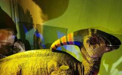 -恐龙探索乐园(磁器口店)