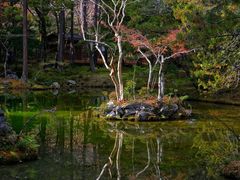 -西芳寺(苔寺)