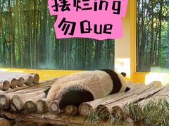 -杭州野生动物世界