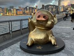 -星光大道
