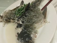 -新兴家喻酒家·羊城名宴(昌岗店)