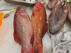 -御同亨酒楼·喜宴