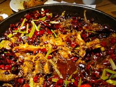 -老板恋上鱼(印象城店)