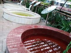 -龙脉温泉室内游泳馆