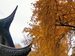 -伯先公园