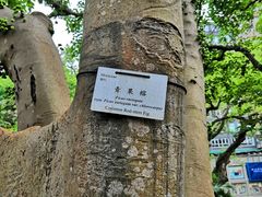 -九龙公园