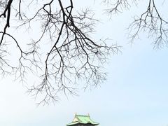 -名古屋城