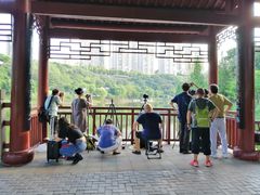 -重庆彩云湖湿地公园