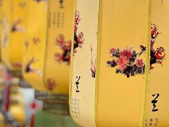 -光明农场大观园