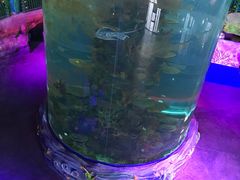 -青岛嘉年华主题乐园