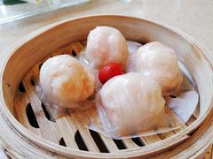 金牌虾饺皇-点都德(千灯湖环宇城店)