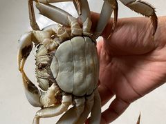-七星龙虾城·海鲜·大闸蟹(吴江店)
