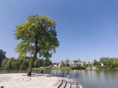 -海淀公园