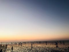 -南汇新城海滩
