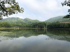 -北京师范大学(珠海校区)