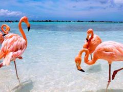 -天津君隆威斯汀酒店