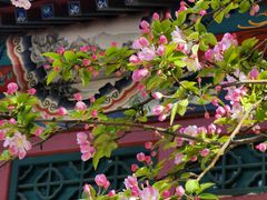 -海棠花溪(元大都城垣遗址公园)