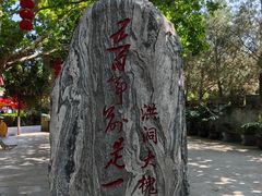 -大槐树寻根祭祖园