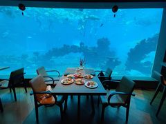 -涛·海底餐厅·美人鱼·自助餐·海底隧道(三亚海棠湾洲际度假酒店)