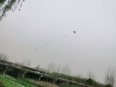 -洨河生态公园