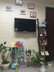 -百秀名媛纹绣美学护肤中心