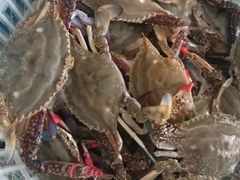 -宾朋海鲜特色美食餐厅·纯手工鲅鱼水饺(兴海路店)