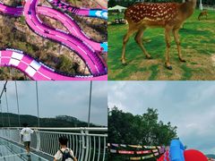 -盈香心动乐园