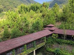 -韶关经律论国际酒店温泉