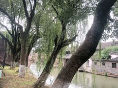 -乌镇东栅景区