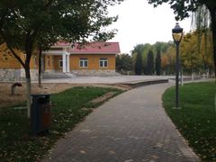 -大兴滨河森林公园