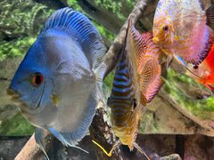 -上海海洋水族馆