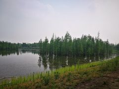 -白鹭湾湿地公园