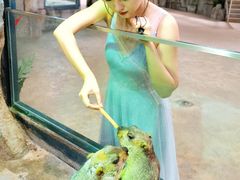 -福州罗源湾海洋世界旅游区