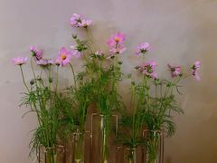 -沿途四季·云南菜·诗酒茶(蓝色港湾店)