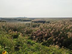 -红海滩国家风景廊道