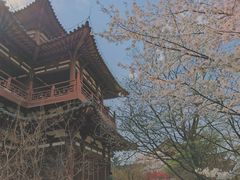 -西安青龙寺遗址景区