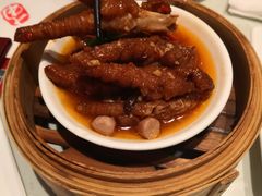 -南枝记