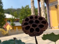 -正觉寺